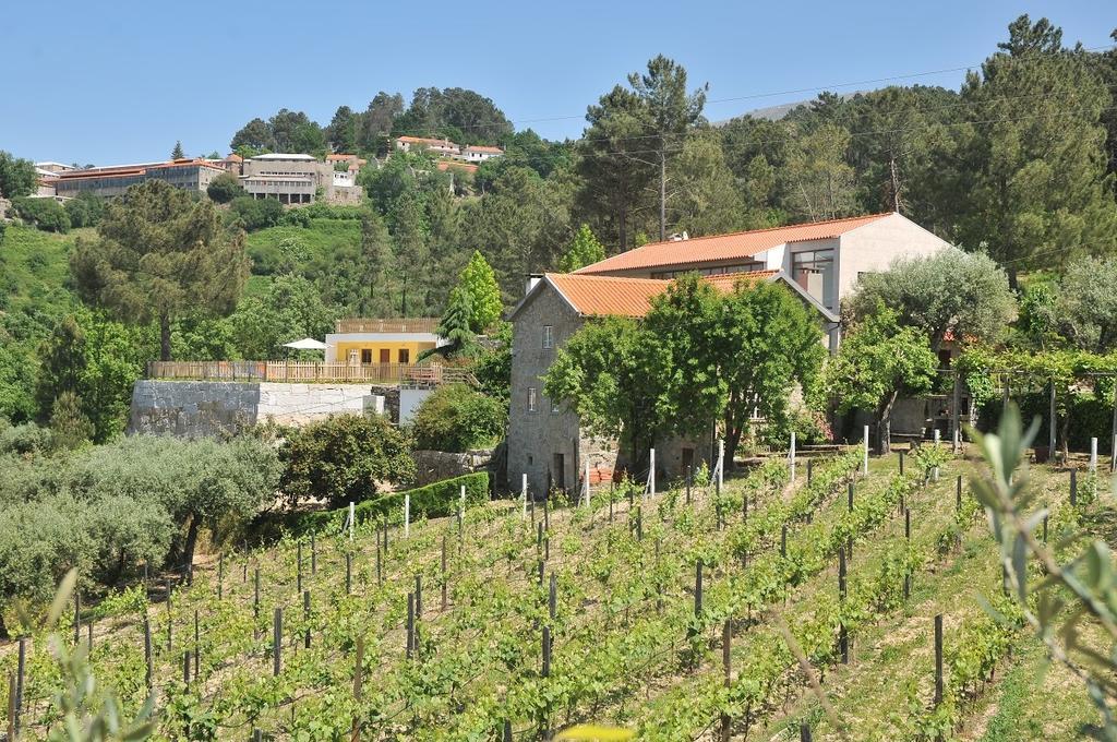 Quinta Do Vale Sanguinho Vila Seia Exterior foto