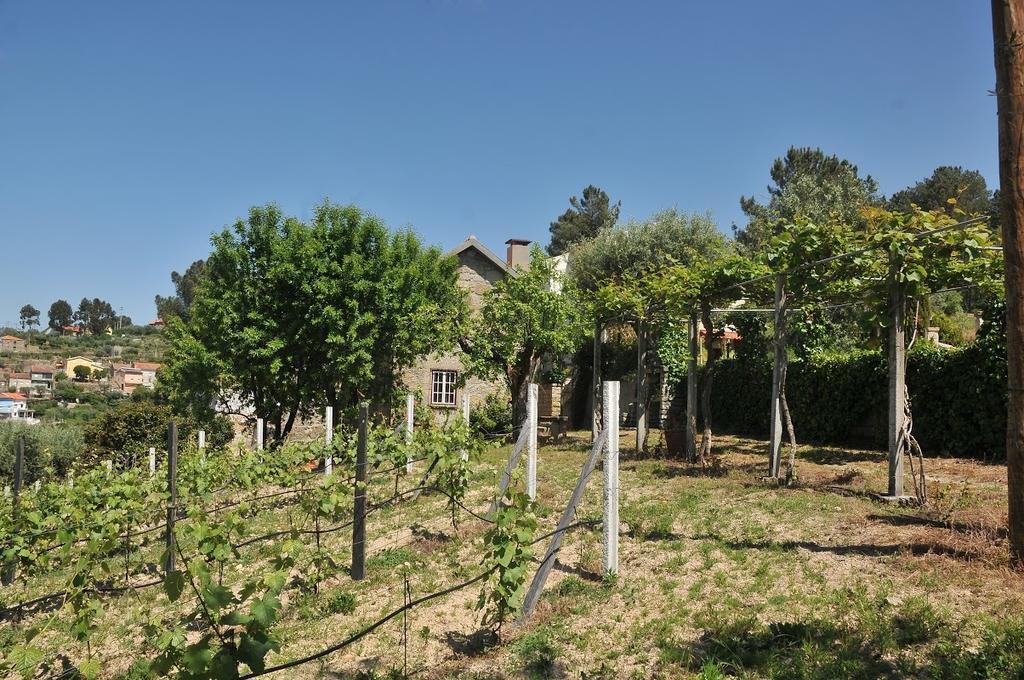 Quinta Do Vale Sanguinho Vila Seia Exterior foto